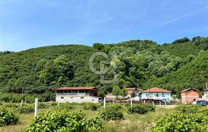 Ruhsatlı Projesi onaylanmış hazır imarlı arsa !