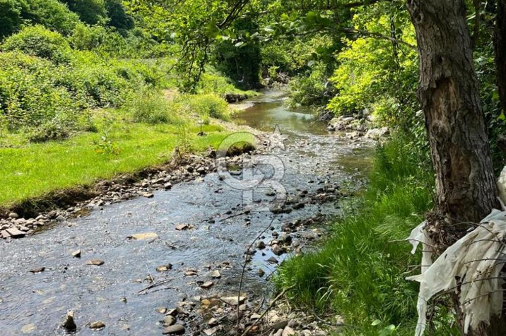 Ruhsatlı Projesi onaylanmış hazır imarlı arsa !