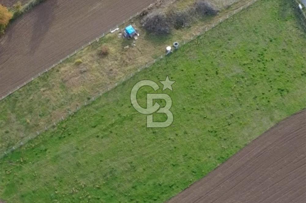 COLDWELL BANKER VONA MUSTAFA ŞEN'DEN 19 MAYIS TEPEKÖYDE SATILIK TARLA