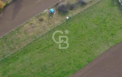 COLDWELL BANKER VONA MUSTAFA ŞEN'DEN 19 MAYIS TEPEKÖYDE SATILIK TARLA