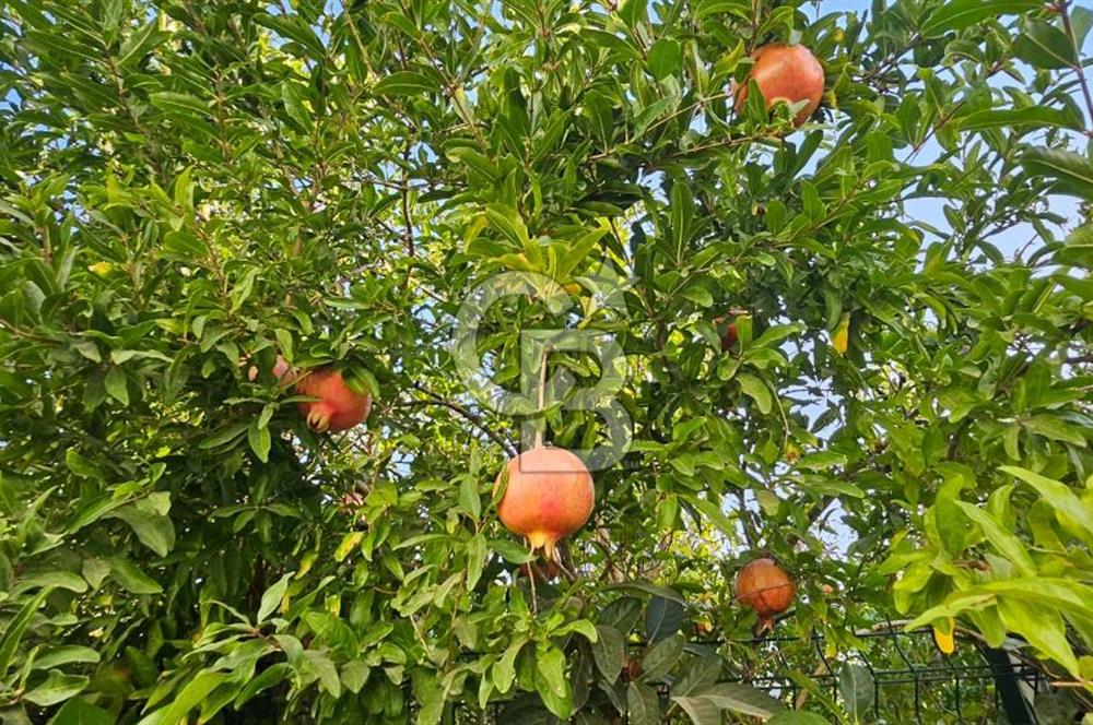 Bodrum Gölköy'de Butik Havuzlu Sitede 3+1 Kiralık Dubleks