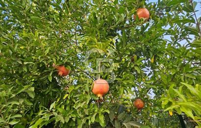 Bodrum Gölköy'de Butik Havuzlu Sitede 3+1 Kiralık Dubleks