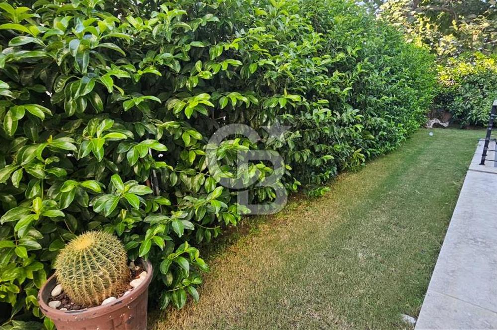 Bodrum Gölköy'de Butik Havuzlu Sitede 3+1 Kiralık Dubleks