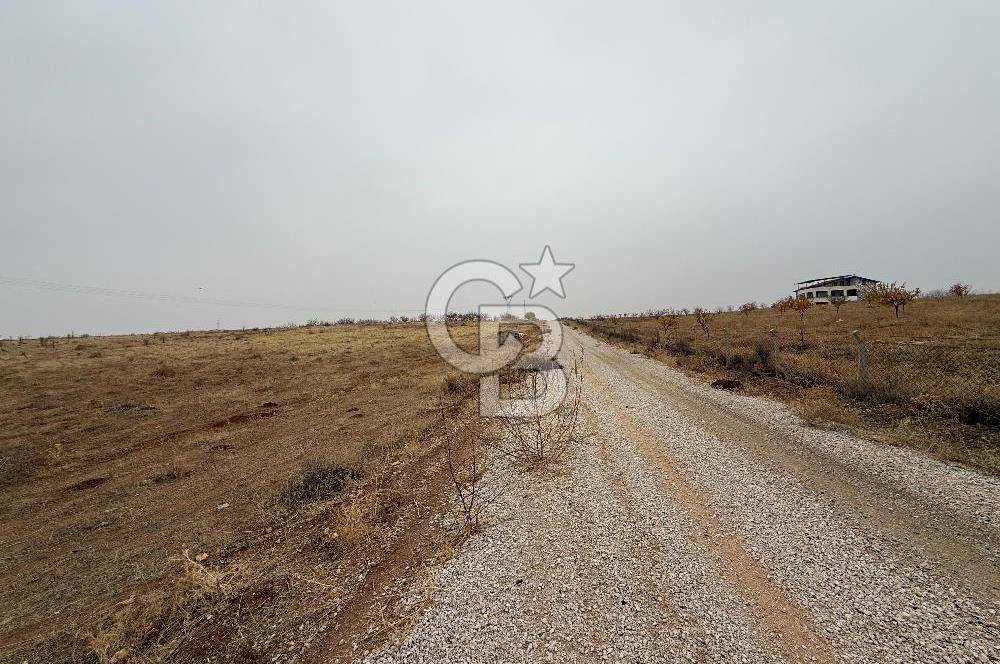 COLDWELL BANKER SAFİR'den CİHADİYE MEVKİİ'nde SATILIK TARLA