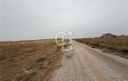 COLDWELL BANKER SAFİR'den CİHADİYE MEVKİİ'nde SATILIK TARLA