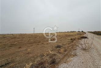 COLDWELL BANKER SAFİR'den CİHADİYE MEVKİİ'nde SATILIK TARLA - 1 - 318539