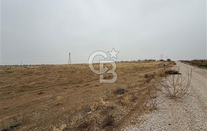 COLDWELL BANKER SAFİR'den CİHADİYE MEVKİİ'nde SATILIK TARLA