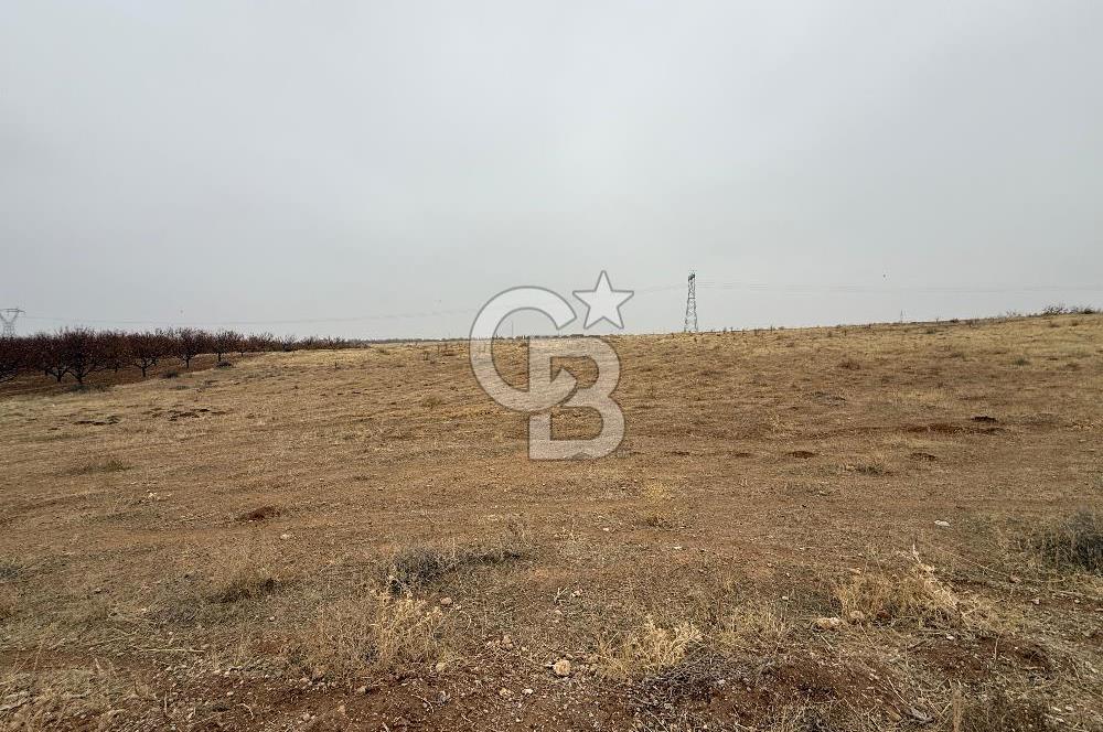 COLDWELL BANKER SAFİR'den CİHADİYE MEVKİİ'nde SATILIK TARLA