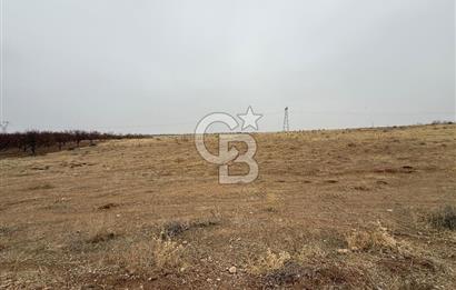 COLDWELL BANKER SAFİR'den CİHADİYE MEVKİİ'nde SATILIK TARLA