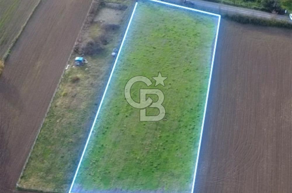 COLDWELL BANKER VONA MUSTAFA ŞEN'DEN 19 MAYIS TEPEKÖYDE SATILIK TARLA