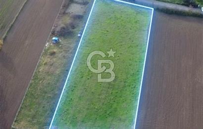 COLDWELL BANKER VONA MUSTAFA ŞEN'DEN 19 MAYIS TEPEKÖYDE SATILIK TARLA