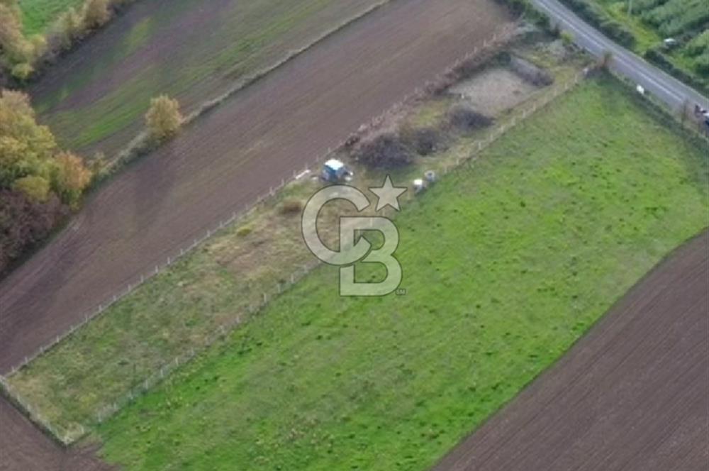 COLDWELL BANKER VONA MUSTAFA ŞEN'DEN 19 MAYIS TEPEKÖYDE SATILIK TARLA