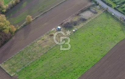 COLDWELL BANKER VONA MUSTAFA ŞEN'DEN 19 MAYIS TEPEKÖYDE SATILIK TARLA