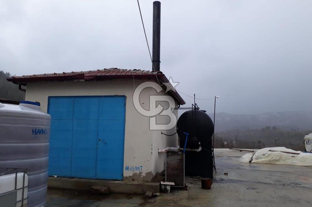 Satılık Gül Bahçesi