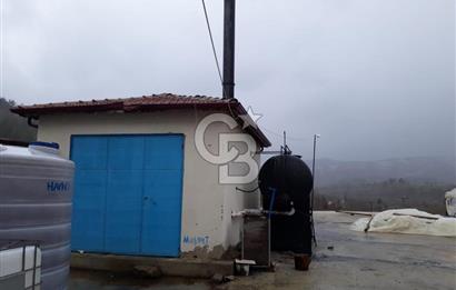 Satılık Gül Bahçesi