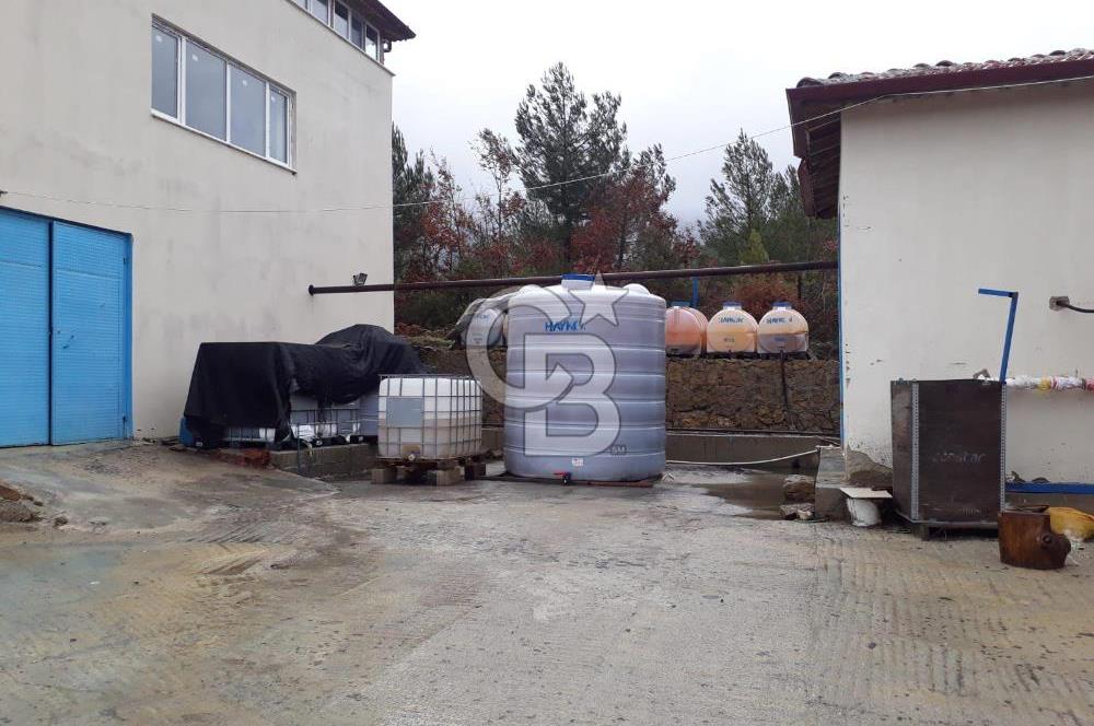 Satılık Gül Bahçesi