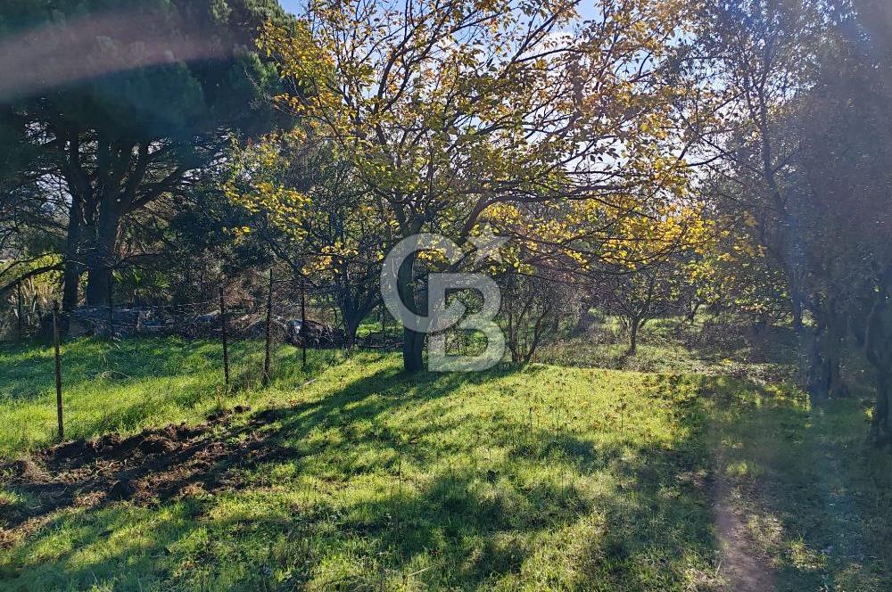 Yalova Bağ Evlerinde eşsiz bir fırsat