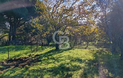 Yalova Bağ Evlerinde eşsiz bir fırsat