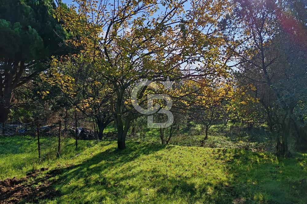 Yalova Bağ Evlerinde eşsiz bir fırsat