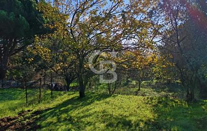 Yalova Bağ Evlerinde eşsiz bir fırsat