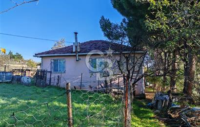 Yalova Bağ Evlerinde eşsiz bir fırsat