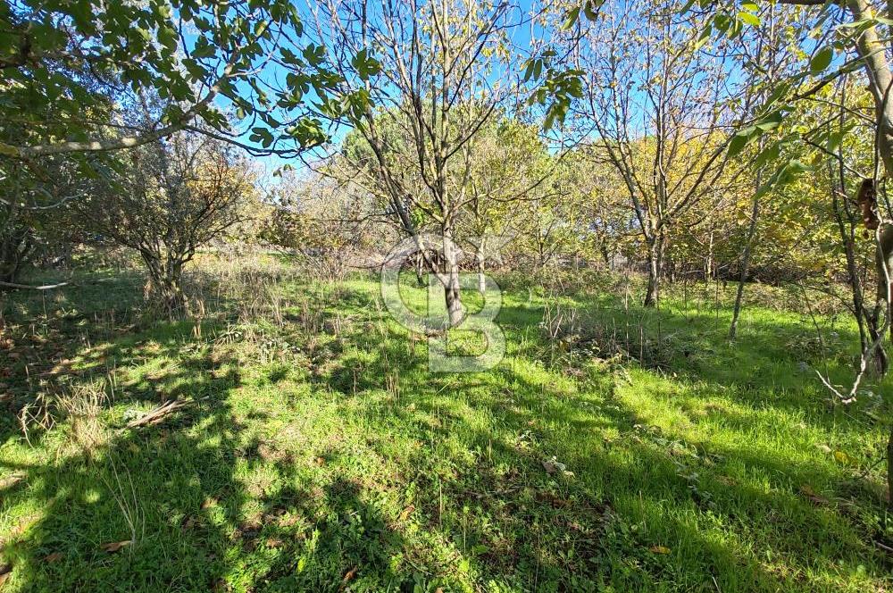 Yalova Bağ Evlerinde eşsiz bir fırsat