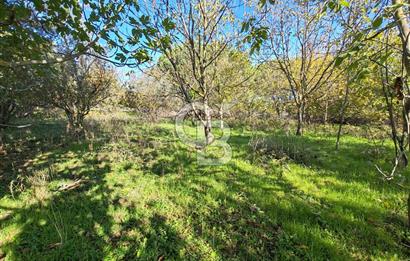 Yalova Bağ Evlerinde eşsiz bir fırsat