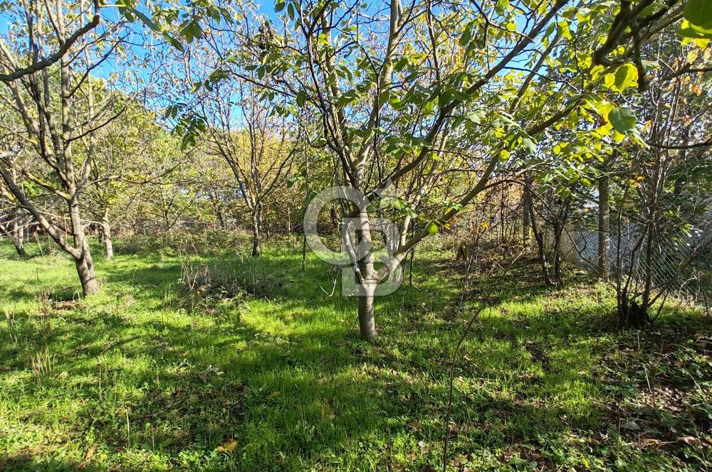 Yalova Bağ Evlerinde eşsiz bir fırsat