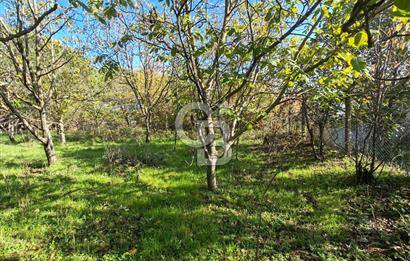 Yalova Bağ Evlerinde eşsiz bir fırsat