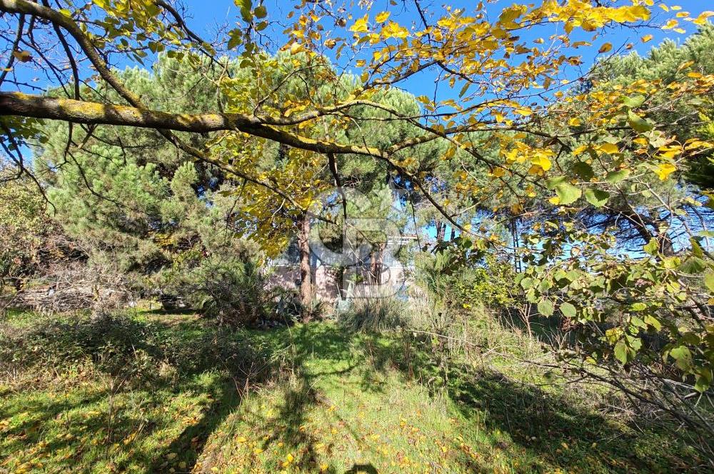 Yalova Bağ Evlerinde eşsiz bir fırsat