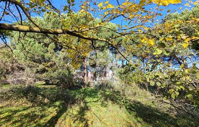 Yalova Bağ Evlerinde eşsiz bir fırsat