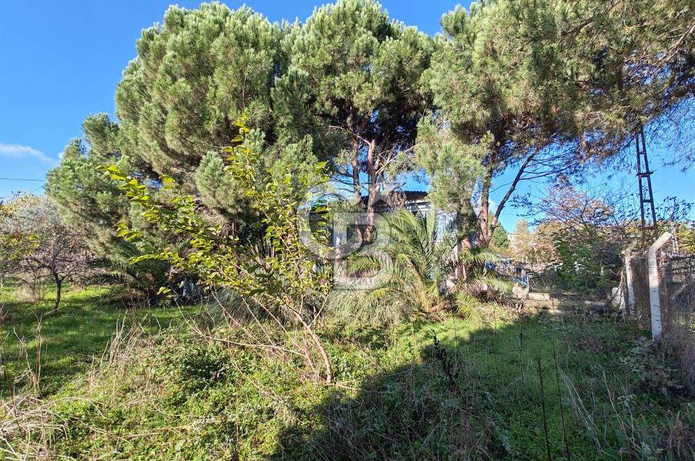 Yalova Bağ Evlerinde eşsiz bir fırsat