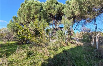 Yalova Bağ Evlerinde eşsiz bir fırsat