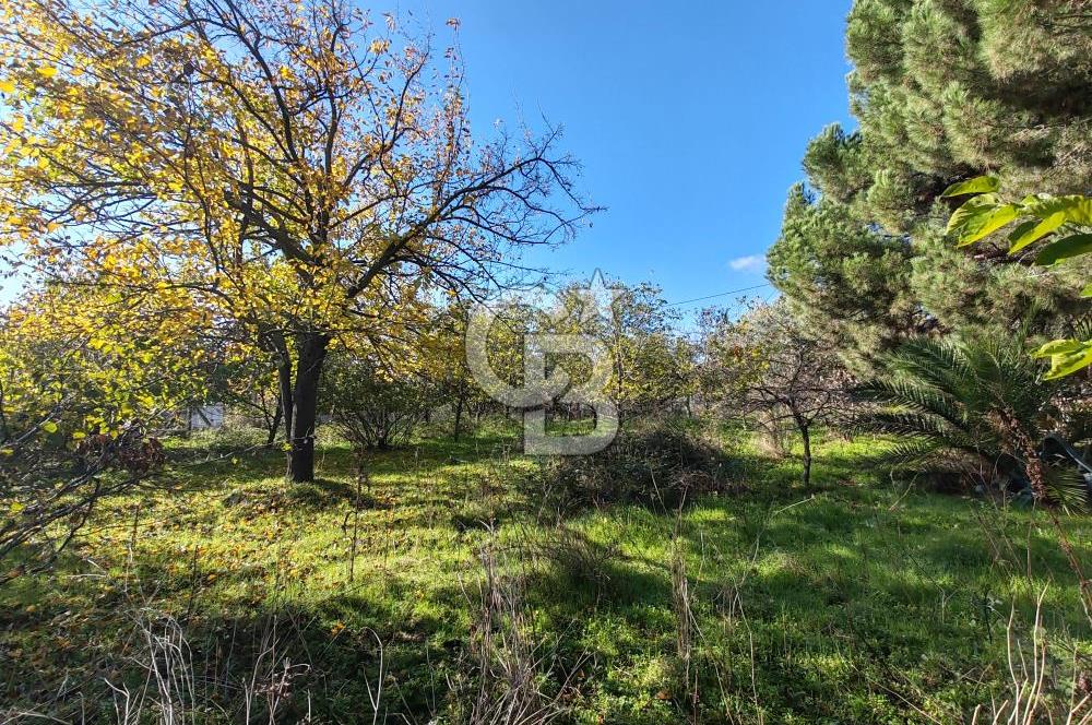 Yalova Bağ Evlerinde eşsiz bir fırsat