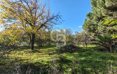 Yalova Bağ Evlerinde eşsiz bir fırsat