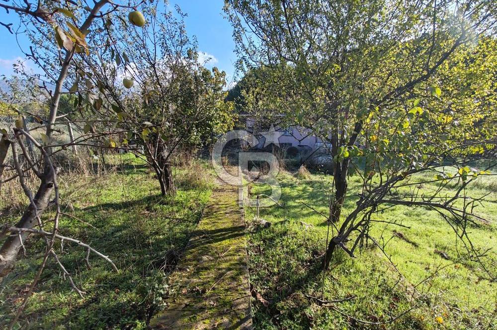 Yalova Bağ Evlerinde eşsiz bir fırsat