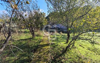 Yalova Bağ Evlerinde eşsiz bir fırsat