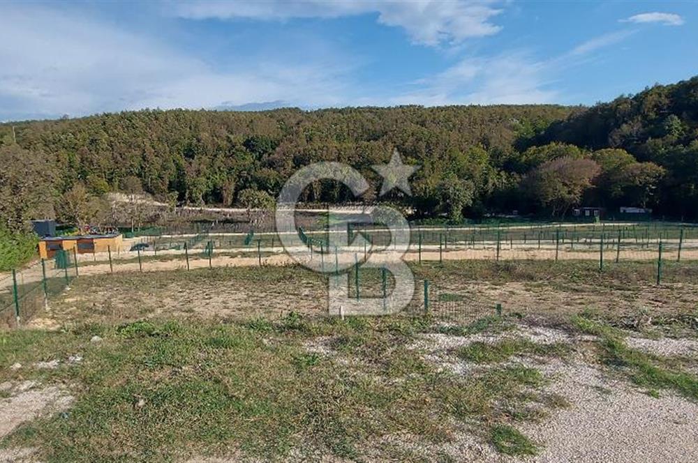 ÇATALCA Binkılıç'ta SATILIK Hobi Bahçesi, Tiny House Parseli