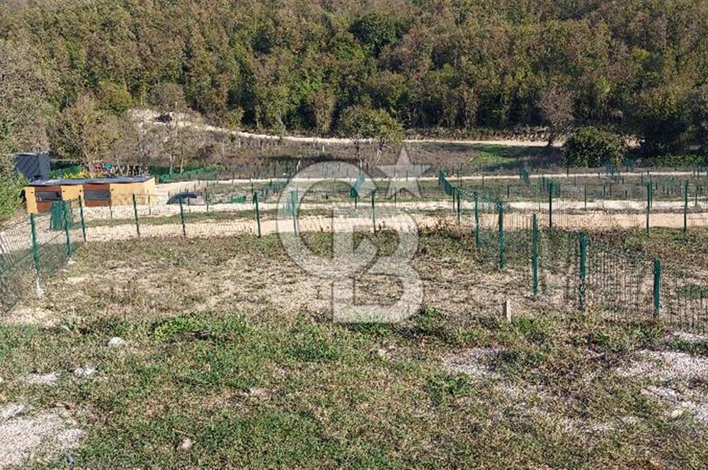 ÇATALCA Binkılıç'ta SATILIK Hobi Bahçesi, Tiny House Parseli