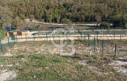 ÇATALCA Binkılıç'ta SATILIK Hobi Bahçesi, Tiny House Parseli