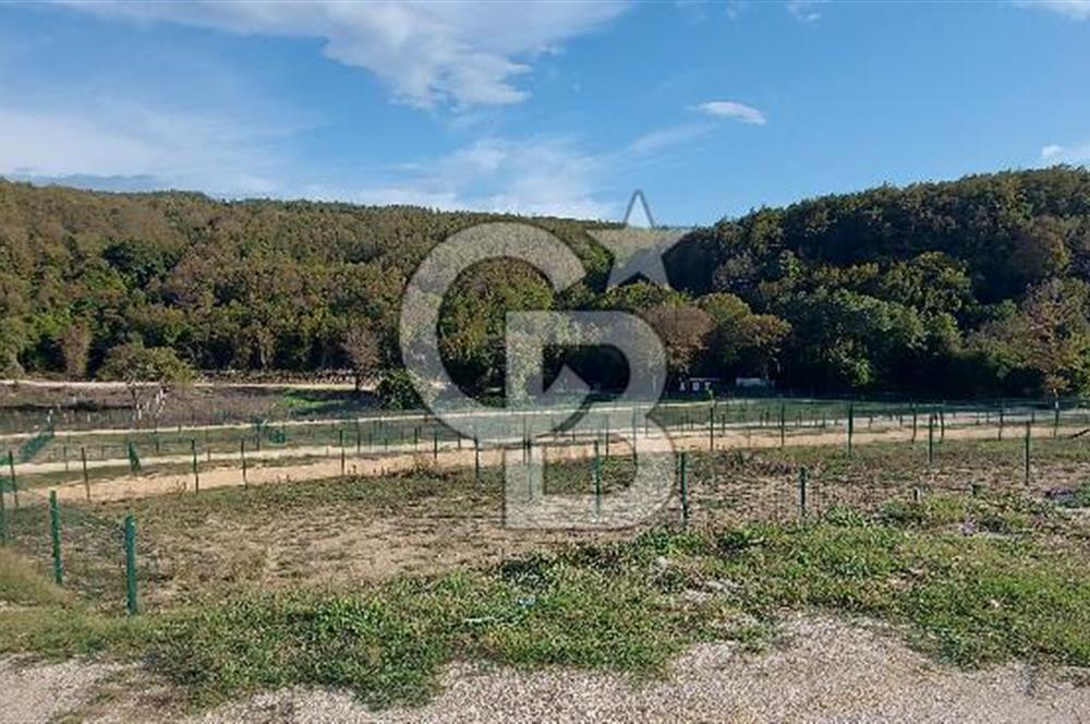 ÇATALCA Binkılıç'ta SATILIK Hobi Bahçesi, Tiny House Parseli