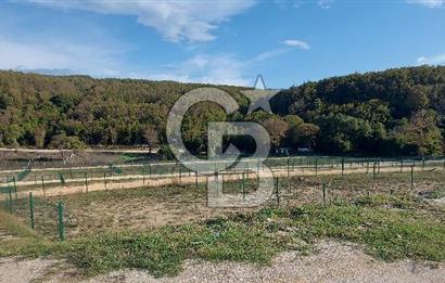 ÇATALCA Binkılıç'ta SATILIK Hobi Bahçesi, Tiny House Parseli