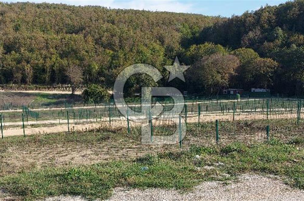 ÇATALCA Binkılıç'ta SATILIK Hobi Bahçesi, Tiny House Parseli