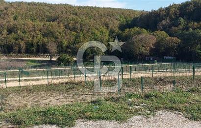 ÇATALCA Binkılıç'ta SATILIK Hobi Bahçesi, Tiny House Parseli