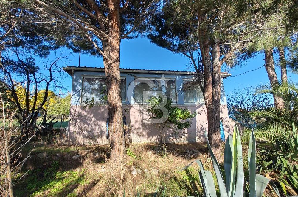 Yalova Bağ Evlerinde eşsiz bir fırsat