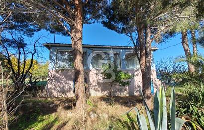 Yalova Bağ Evlerinde eşsiz bir fırsat