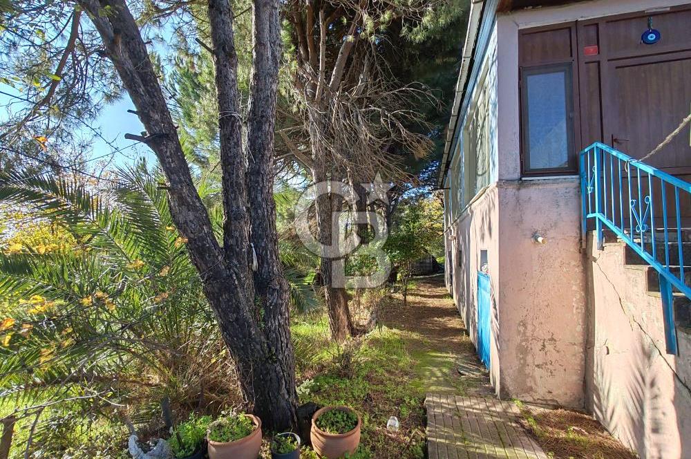 Yalova Bağ Evlerinde eşsiz bir fırsat