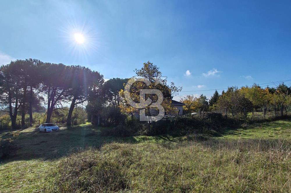 Yalova Bağ Evlerinde eşsiz bir fırsat