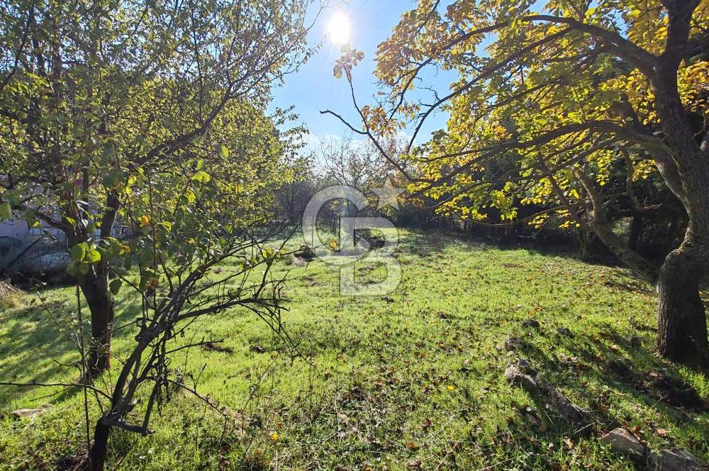 Yalova Bağ Evlerinde eşsiz bir fırsat