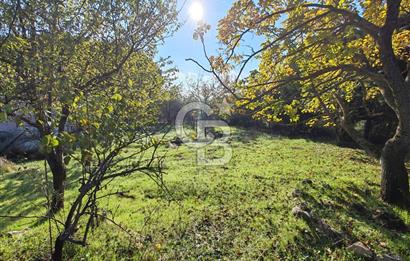 Yalova Bağ Evlerinde eşsiz bir fırsat